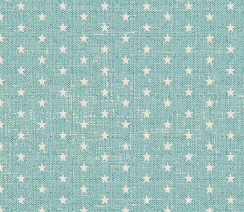 Starry Dreams The Cur8tor Romantica